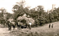 Haymaking in Godshill
