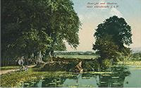 Carisbrooke pond