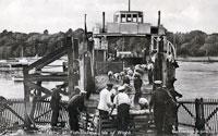 Loading sheep at Fishbourne 