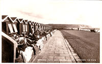 Sandown Bathing Huts & Culver Cliffs