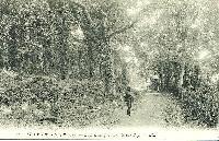 Lane leading to Seagrove Bay