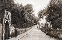 Bonchurch Valley