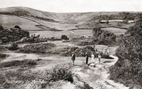 Footpath from Luccombe to Ventnor